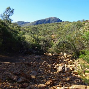 North Wilpena Creek