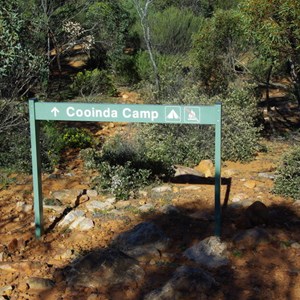 Cooinda Camp