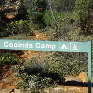 Cooinda Camp