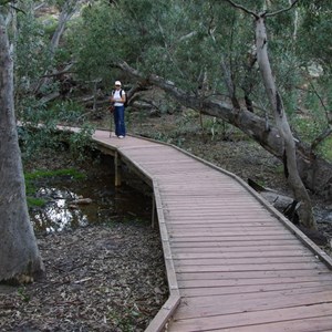 Foot Bridge over Wilpena Creek