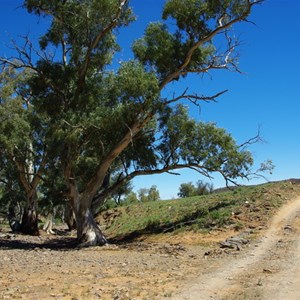 Nuccaleena Creek