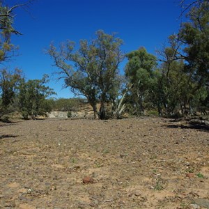 Nuccaleena Creek