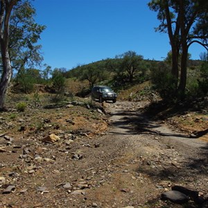 Gully (Nuccaleena Creek)