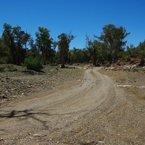 Gully (Nuccaleena Creek)