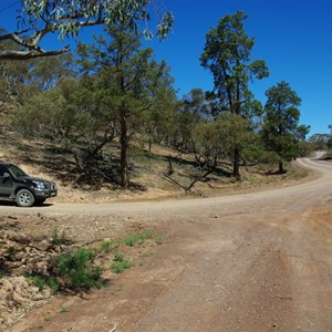 Valley Paddock Track