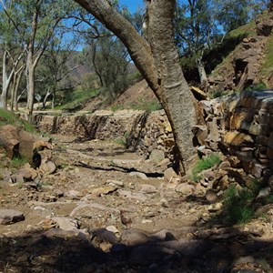 Valley Paddock Track