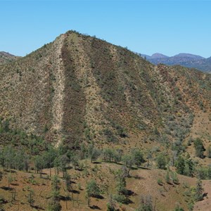 Razorback Lookout