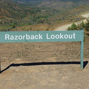 Razorback Lookout