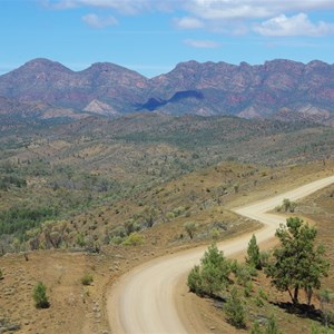 Razorback Lookout