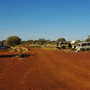 Old Van and Cars