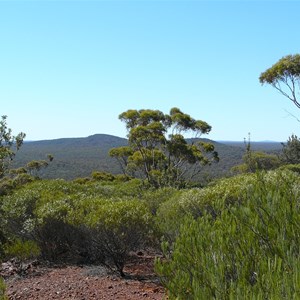 Bungalbin Hill