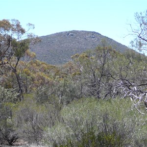 Mount Manning Range Views