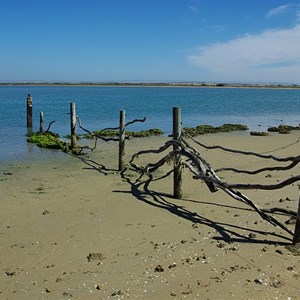 Channel Marker and Point Blenkinsop