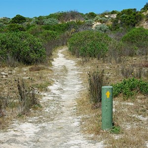 Track Markers