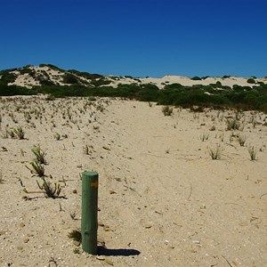 Track Marker and Midden