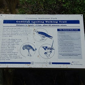 Ocean Beach Walking Sign