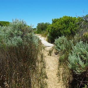 Plants of the Coorong Sign