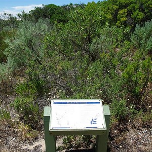 Plants of the Coorong Sign