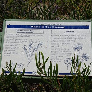 Plants of the Coorong Sign