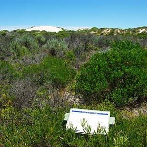 Plants of the Coorong Sign