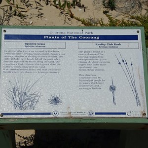 Plants of the Coorong Sign