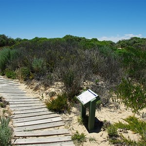 Plants of the Coorong Sign