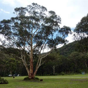 Burralow Creek campground