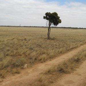 Eyre Highway & Toolinna Cove Access