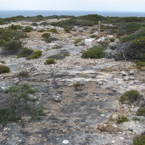 WWII Lookout Tower Site