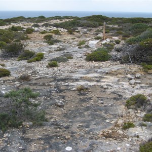 WWII Lookout Tower Site