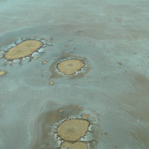 Lake Eyre mound springs