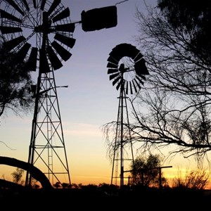 Bloodwood Well