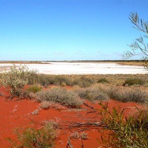 Lake Disappointment