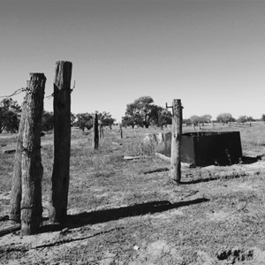 The Golden Rule - Of the Bush and Outback