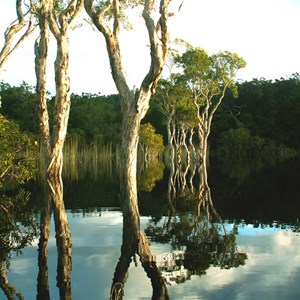 Cooloola Reflections