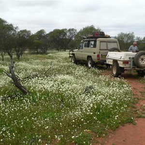 Murchison River camp area