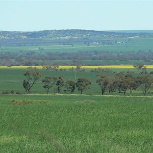 Mingenew landscape