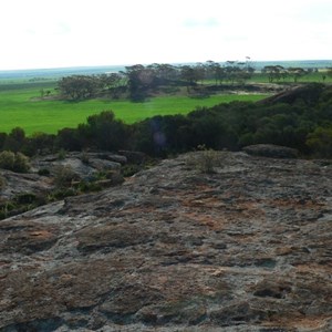 view from Buntine Rock