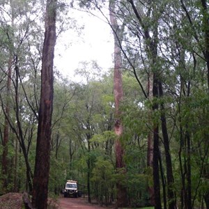 Wellington Dam NP