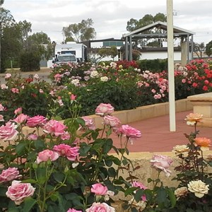 Meckering Memorial Park