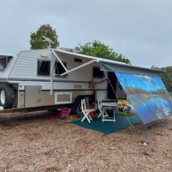 Colour on a bleak day 