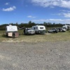 Tassie Mini Muster, near Bicheno, East Coast