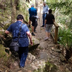 Walk in to Mathinna Falls