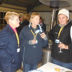 The powers behind the thrones