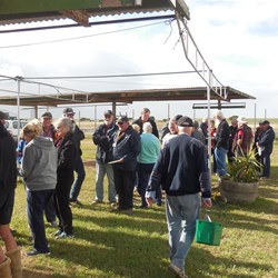 Lining up for breakfast