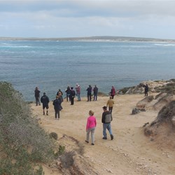 Boggers wandering around High Cliff