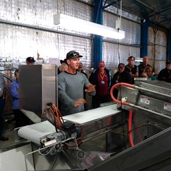 The oyster grading machine