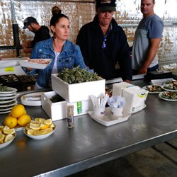 Preparing the yummy oysters