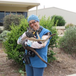 Stella found a joey was easier to cuddle than a birdie