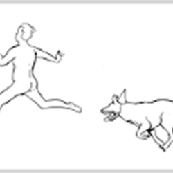 This is why I thought Streaky Bay was called "Streaky"